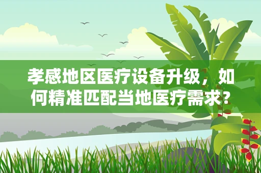 孝感地区医疗设备升级，如何精准匹配当地医疗需求？