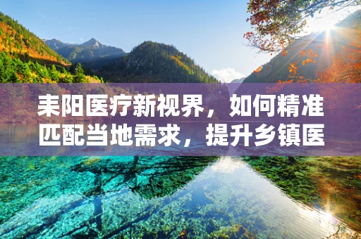 耒阳医疗新视界，如何精准匹配当地需求，提升乡镇医疗设备效能？