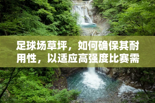 足球场草坪，如何确保其耐用性，以适应高强度比赛需求？