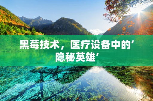 黑莓技术，医疗设备中的‘隐秘英雄’