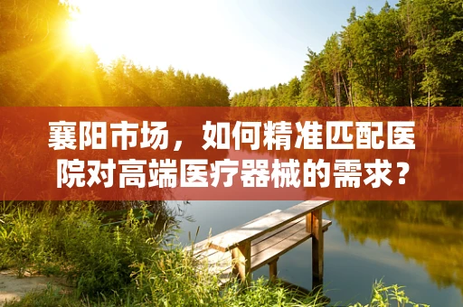 襄阳市场，如何精准匹配医院对高端医疗器械的需求？