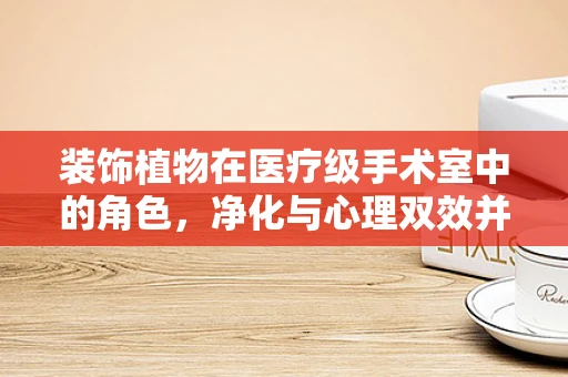 装饰植物在医疗级手术室中的角色，净化与心理双效并举？