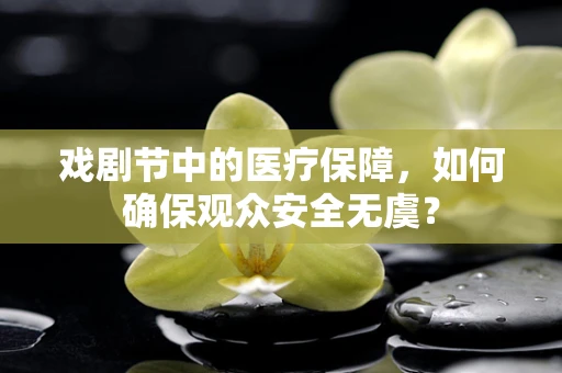 戏剧节中的医疗保障，如何确保观众安全无虞？