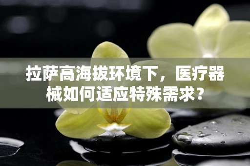拉萨高海拔环境下，医疗器械如何适应特殊需求？