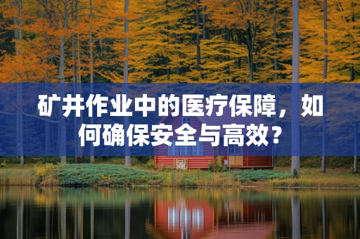 矿井作业中的医疗保障，如何确保安全与高效？
