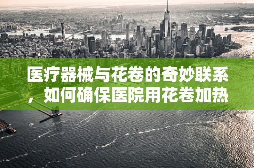 医疗器械与花卷的奇妙联系，如何确保医院用花卷加热设备的精准温控？