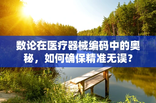 数论在医疗器械编码中的奥秘，如何确保精准无误？