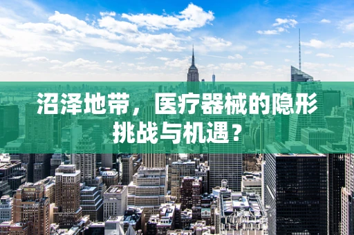 沼泽地带，医疗器械的隐形挑战与机遇？