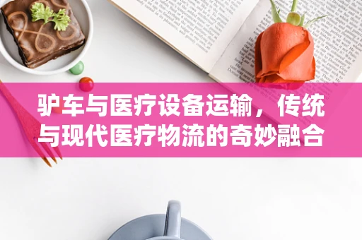 驴车与医疗设备运输，传统与现代医疗物流的奇妙融合