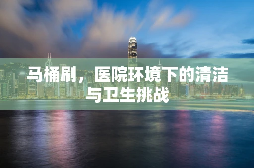 马桶刷，医院环境下的清洁与卫生挑战