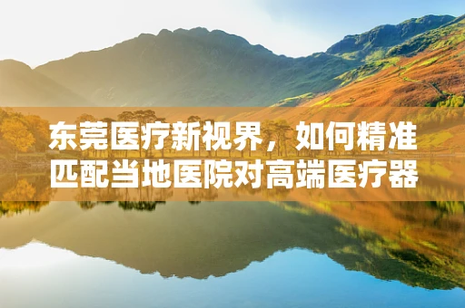 东莞医疗新视界，如何精准匹配当地医院对高端医疗器械的需求？