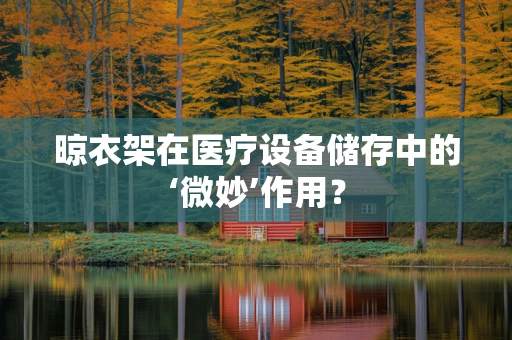 晾衣架在医疗设备储存中的‘微妙’作用？