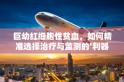 巨幼红细胞性贫血，如何精准选择治疗与监测的‘利器’？