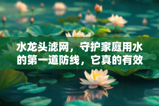 水龙头滤网，守护家庭用水的第一道防线，它真的有效吗？