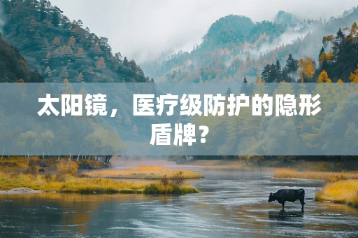 太阳镜，医疗级防护的隐形盾牌？