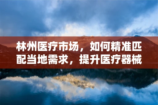 林州医疗市场，如何精准匹配当地需求，提升医疗器械销售效率？