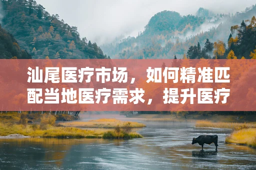 汕尾医疗市场，如何精准匹配当地医疗需求，提升医疗器械销售策略？