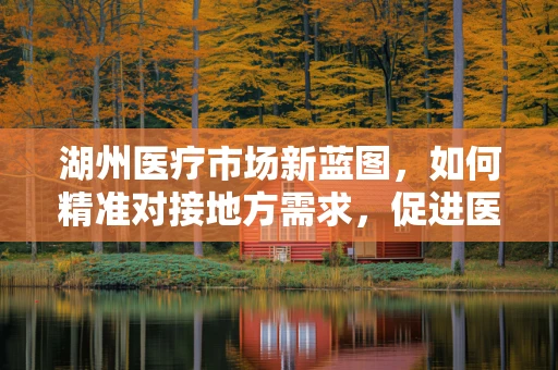 湖州医疗市场新蓝图，如何精准对接地方需求，促进医疗器械高效应用？