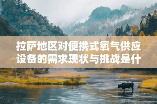 拉萨地区对便携式氧气供应设备的需求现状与挑战是什么？