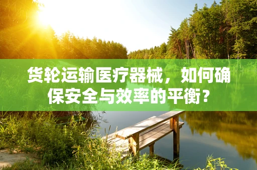 货轮运输医疗器械，如何确保安全与效率的平衡？
