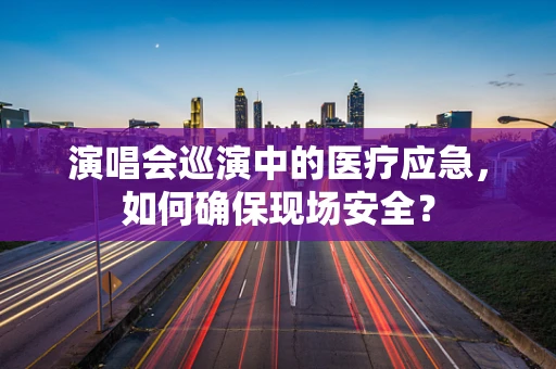 演唱会巡演中的医疗应急，如何确保现场安全？