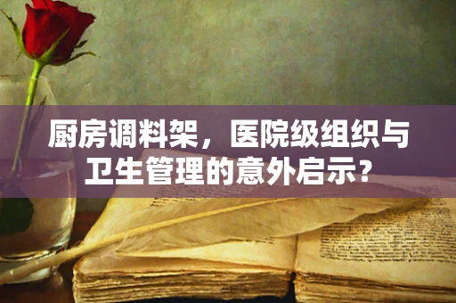 厨房调料架，医院级组织与卫生管理的意外启示？