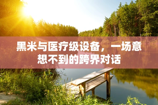 黑米与医疗级设备，一场意想不到的跨界对话