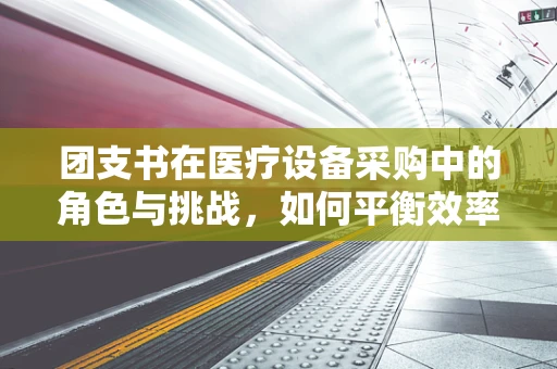 团支书在医疗设备采购中的角色与挑战，如何平衡效率与质量？