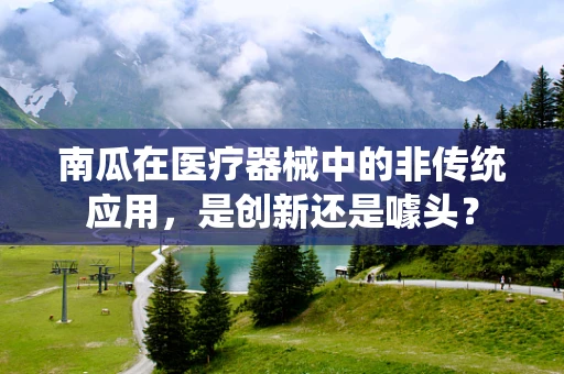 南瓜在医疗器械中的非传统应用，是创新还是噱头？