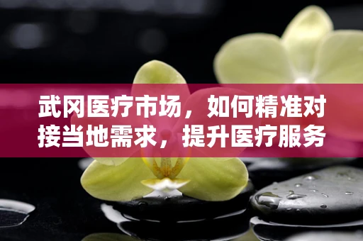 武冈医疗市场，如何精准对接当地需求，提升医疗服务质量？