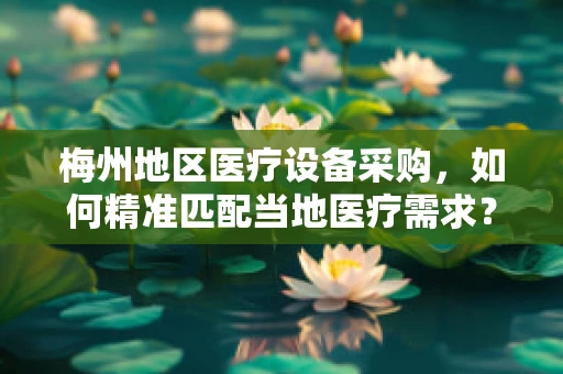 梅州地区医疗设备采购，如何精准匹配当地医疗需求？
