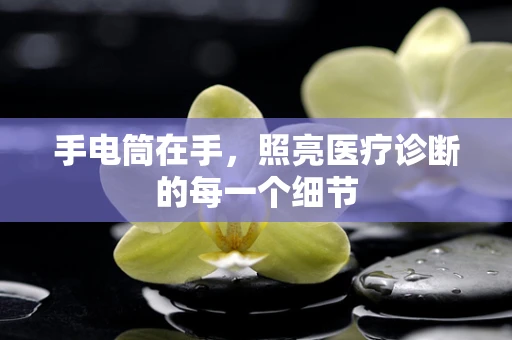 手电筒在手，照亮医疗诊断的每一个细节