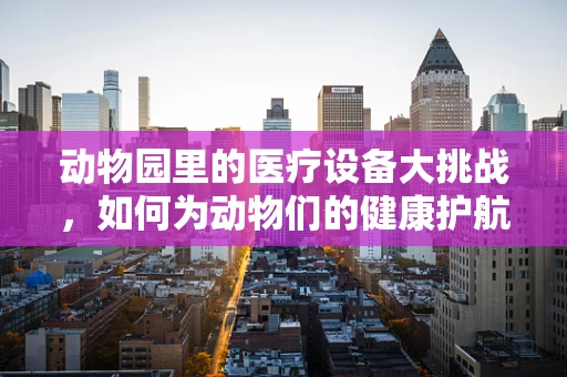 动物园里的医疗设备大挑战，如何为动物们的健康护航？