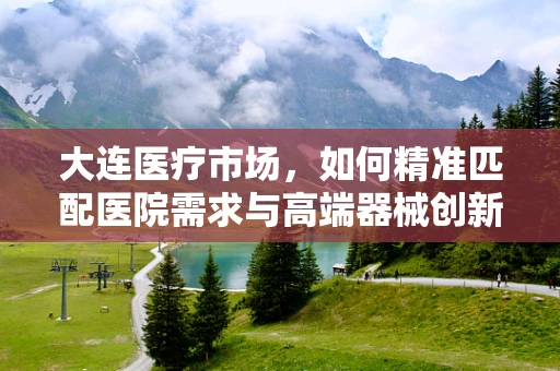 大连医疗市场，如何精准匹配医院需求与高端器械创新？