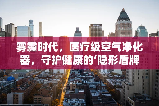 雾霾时代，医疗级空气净化器，守护健康的‘隐形盾牌’？