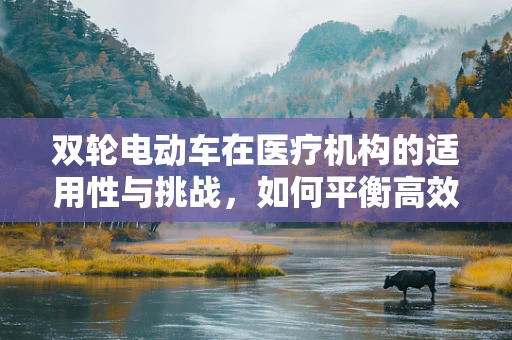 双轮电动车在医疗机构的适用性与挑战，如何平衡高效与安全？