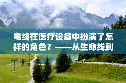 电线在医疗设备中扮演了怎样的角色？——从生命线到安全网的微妙平衡