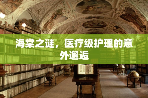 海棠之谜，医疗级护理的意外邂逅