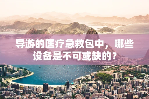 导游的医疗急救包中，哪些设备是不可或缺的？
