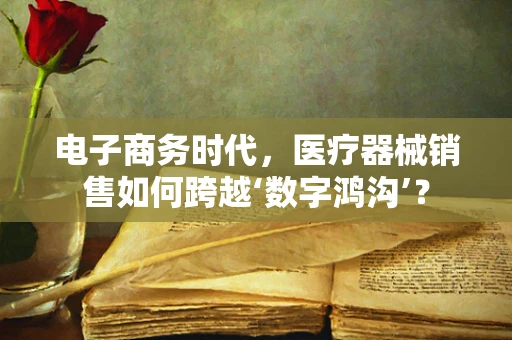 电子商务时代，医疗器械销售如何跨越‘数字鸿沟’？