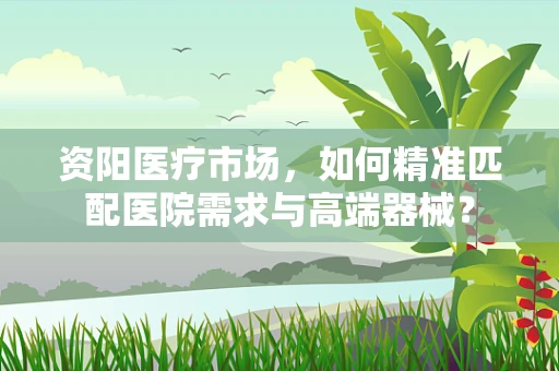 资阳医疗市场，如何精准匹配医院需求与高端器械？