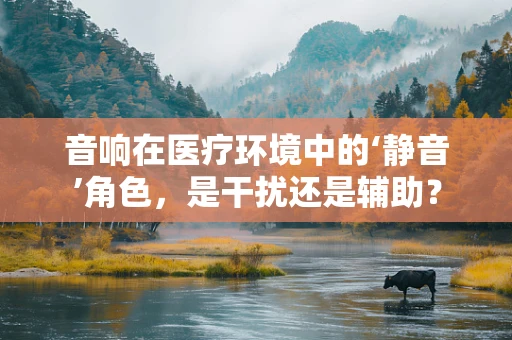 音响在医疗环境中的‘静音’角色，是干扰还是辅助？
