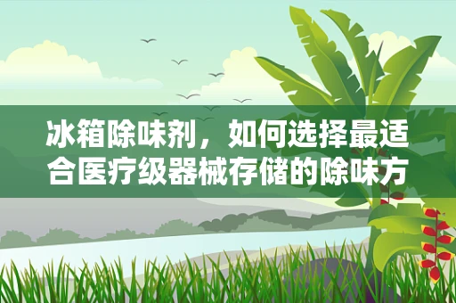 冰箱除味剂，如何选择最适合医疗级器械存储的除味方案？