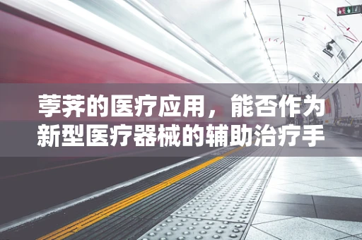 荸荠的医疗应用，能否作为新型医疗器械的辅助治疗手段？