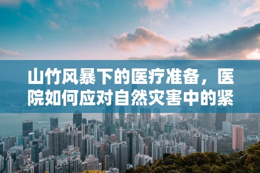 山竹风暴下的医疗准备，医院如何应对自然灾害中的紧急医疗需求？