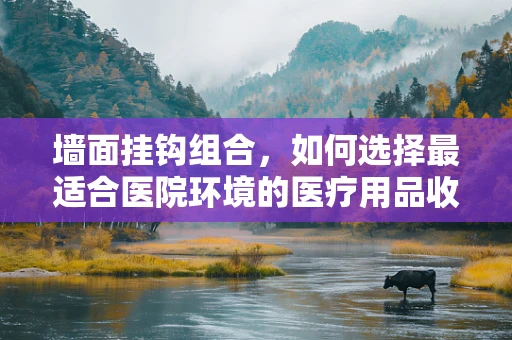 墙面挂钩组合，如何选择最适合医院环境的医疗用品收纳方案？