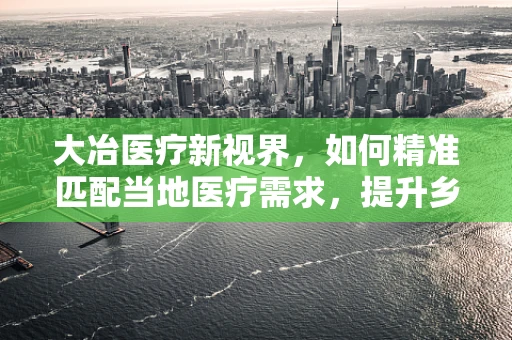 大冶医疗新视界，如何精准匹配当地医疗需求，提升乡镇医院诊疗效率？