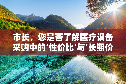 市长，您是否了解医疗设备采购中的‘性价比’与‘长期价值’之辩？