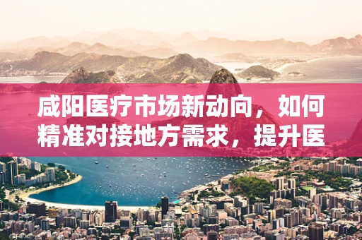 咸阳医疗市场新动向，如何精准对接地方需求，提升医疗服务效率？