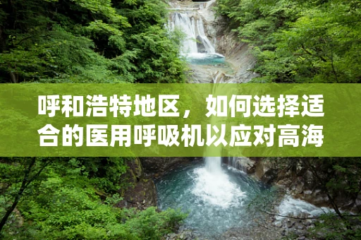 呼和浩特地区，如何选择适合的医用呼吸机以应对高海拔挑战？